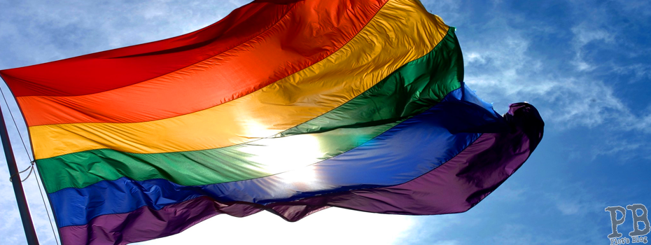 Gleiche Vorteile für Homo Ehe wie für Hetero Ehe?